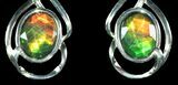 Gorgeous Ammolite Earrings with Sterling Silver #143581-1